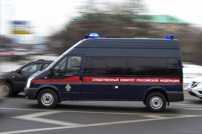 Женщина попыталась продать новорожденного сына в Москве за 100 тысяч рублей - vm.ru - Москва - Россия - Следственный Комитет