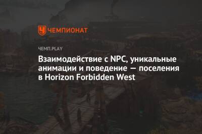 Взаимодействие с NPC, уникальные анимации и поведение — поселения в Horizon Forbidden West - championat.com