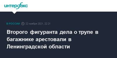 Второго фигуранта дела о трупе в багажнике арестовали в Ленинградской области - interfax.ru - Москва - Россия - Ленинградская обл. - Санкт-Петербург