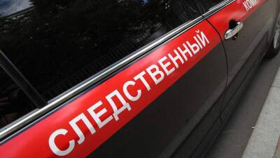 СК возбудил дело по факту смерти младенца в Новой Москве - iz.ru - Москва - Россия - Израиль - поселение Вороновское