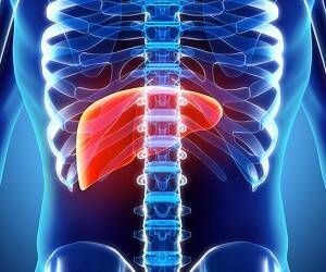 Фазы детоксикации печени — health info - goodnews.ua
