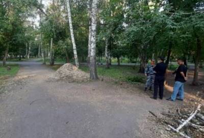 46-летний насильник из Новосибирска получил 7,5 лет колонии - online47.ru - Новосибирск - Дзержинск