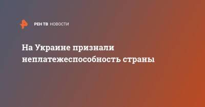Всеволод Степанюк - На Украине признали неплатежеспособность страны - ren.tv - Украина - Киев