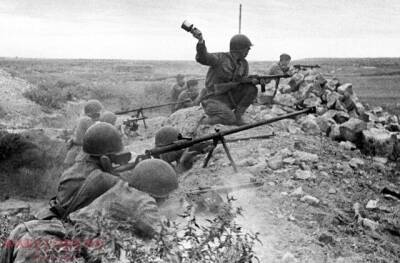 Главные секреты выживания на войне: советы ветеранов - Русская семерка - russian7.ru - Минск