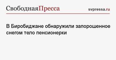 В Биробиджане обнаружили запорошенное снегом тело пенсионерки - svpressa.ru - Санкт-Петербург - Махачкала - Биробиджан