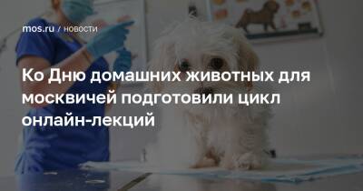 Ко Дню домашних животных для москвичей подготовили цикл онлайн-лекций - mos.ru - Москва