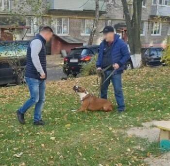 Череповчанин натравил на полицейских собаку - vologda-poisk.ru - Россия - Вологодская обл. - Череповец