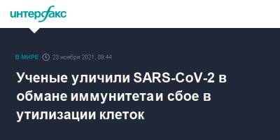 Ученые уличили SARS-CoV-2 в обмане иммунитета и сбое в утилизации клеток - interfax.ru - Москва - Норвегия - США - Финляндия - Исландия