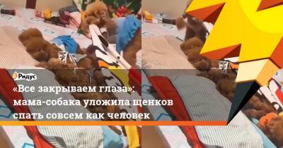 «Все закрываем глаза»: мама-собака уложила щенков спать совсем как человек - ridus.ru