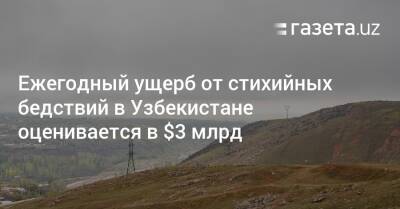 Ежегодный ущерб от стихийных бедствий в Узбекистане оценивается в $3 млрд - gazeta.uz - Узбекистан