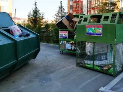 Экоактивисты объяснили, почему нельзя выбрасывать батарейки вместе с остальным мусором - rosbalt.ru