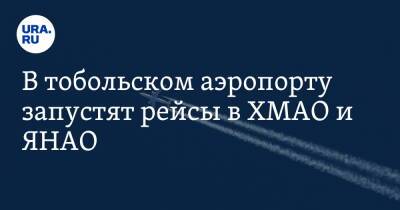 В тобольском аэропорту запустят рейсы в ХМАО и ЯНАО - ura.news - Сочи - Симферополь - Ростов-На-Дону - Сургут - Югра - Тобольск - окр. Янао - Нижневартовск