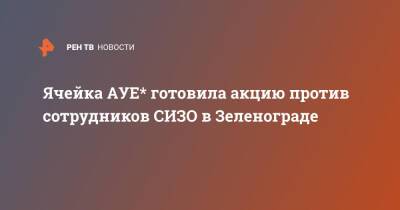 Ячейка АУЕ* готовила акцию против сотрудников СИЗО в Зеленограде - ren.tv - Россия - Зеленоград
