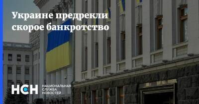 Всеволод Степанюк - Украине предрекли скорое банкротство - nsn.fm - Украина - Киев