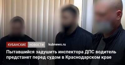 Пытавшийся задушить инспектора ДПС водитель предстанет перед судом в Краснодарском крае - kubnews.ru - Краснодарский край - район Кущевский - Следственный Комитет