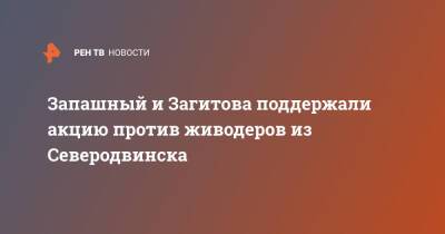 Запашный и Загитова поддержали акцию против живодеров из Северодвинска - ren.tv - Северодвинск