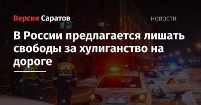 Валерий Васильев - В России предлагается лишать свободы за хулиганство на дороге - nversia.ru - Россия
