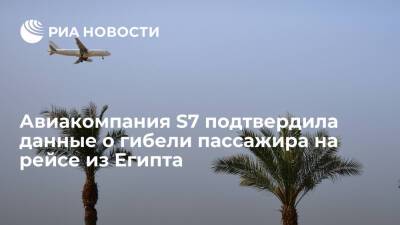 Тело пассажира, покончившего с собой на рейсе из Египта в Самару, доставили в Россию - ria.ru - Москва - Россия - Египет - Самара - Каир