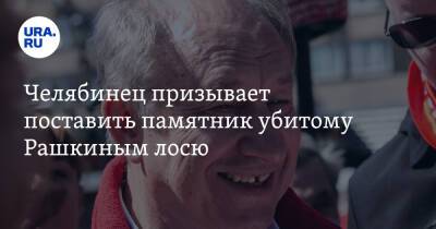 Валерий Рашкин - Челябинец призывает поставить памятник убитому Рашкиным лосю - ura.news - Россия - Челябинская обл. - Саратовская обл.