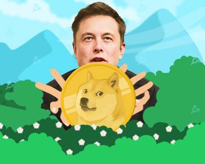 Илон Маск - Илон Маск «заставил» Binance раскрыть детали сбоя со старыми транзакциями Dogecoin - forklog.com