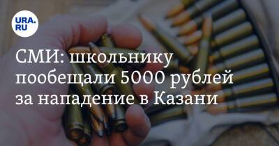 СМИ: школьнику пообещали 5000 рублей за нападение в Казани - ura.news - Украина - Казань