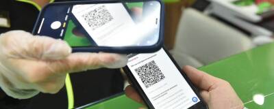 Власти Свердловской области 23 ноября обсудят вопрос о введении QR-кодов в общественном транспорте - runews24.ru - Казань - Свердловская обл.
