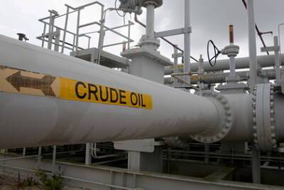 Михаил Делягин - Джо Байден - В Госдуме объяснили выпуск нефти из стратегических резервов США - lenta.ru - Россия - Китай - Южная Корея - США - Англия - Япония - Индия