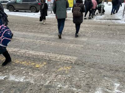 Бионордск: как оттепель в ноябре превратила Новосибирск в болото - sib.fm - Новосибирск