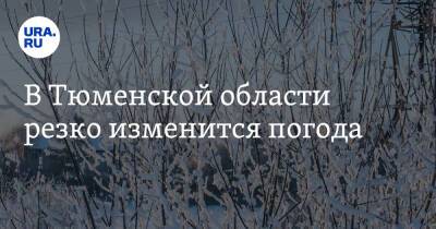 В Тюменской области резко изменится погода - ura.news - Тюменская обл.