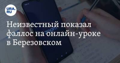 Неизвестный показал фаллос на онлайн-уроке в Березовском - ura.news - Свердловская обл. - Березовск