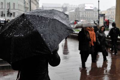 В среду в Петербурге ожидаются мокрый снег с дождем - abnews.ru - Ленинградская обл. - Санкт-Петербург