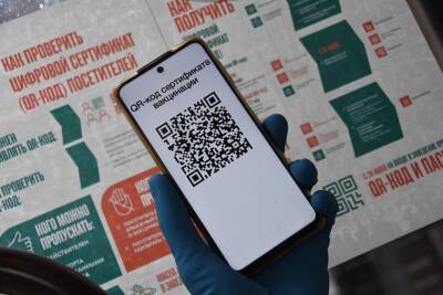 Депутаты госсовета Удмуртии поддержали федеральные законопроекты о QR-кодах - gorodglazov.com - Россия - респ. Удмуртия