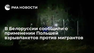 В Белоруссии сообщили о применении Польшей взрывпакетов газа против мигрантов - ria.ru - Белоруссия - Польша - Минск - Варшава