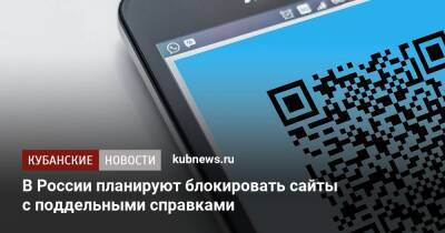 В России планируют блокировать сайты с поддельными справками - kubnews.ru - Россия