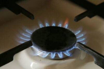 В России выросла стоимость сжиженного газа - mk.ru - Россия - Санкт-Петербург
