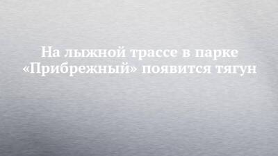 На лыжной трассе в парке «Прибрежный» появится тягун - chelny-izvest.ru