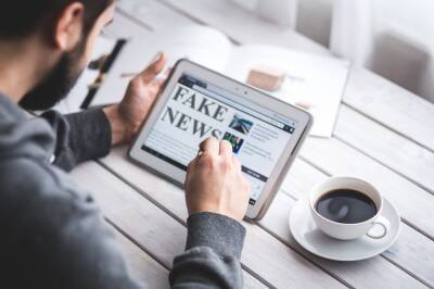 Каждый пятый липчанин не может распознать фейковую информацию - lipetskmedia.ru - Германия - Липецкая обл.