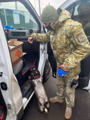 Украинские пограничники задержали мужчину, который пытался вывезти прах - rupor.info - Россия - Украина - Луганская обл.