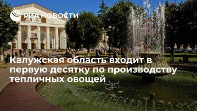 Владислав Шапша - Калужская область находится в первой десятке по производству тепличных овощей - smartmoney.one - Калужская обл.