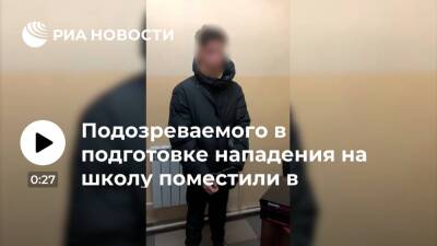 Александр Бастрыкин - Подозреваемого в подготовке нападения на школу в Казани поместили в психстационар - ria.ru - Москва - Россия - Украина - Казань - республика Татарский