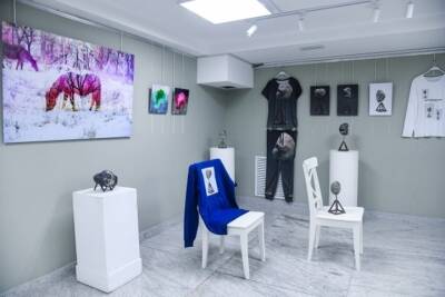 Экономист показала на выставке в Волгограде арт-объекты и коллекцию одежды - volg.mk.ru - Волгоград