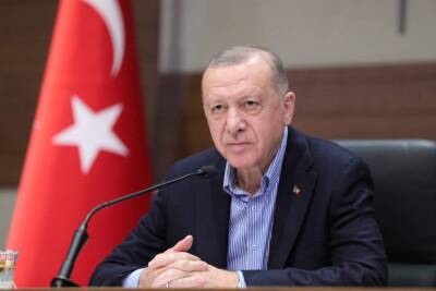 Реджеп Тайип Эрдоган - Тайип Эрдоган - Анкара ожидает активной поддержки Интерпола в борьбе с преступностью - Эрдоган - trend.az - Турция - Анкара - Стамбул