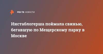 Инстаблогерша поймала свинью, бегавшую по Мещерскому парку в Москве - ren.tv - Москва