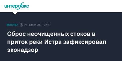 Андрей Разин - Сброс неочищенных стоков в приток реки Истра зафиксировал эконадзор - interfax.ru - Москва - Московская обл. - городское поселение Истра - Московская область
