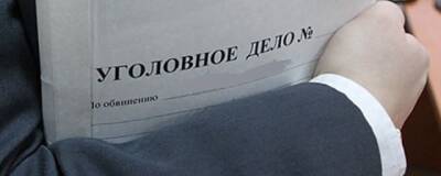 В Жигулевске арестованы мать и сын, напавшие на офис микрозаймов с топором - runews24.ru - Жигулевск
