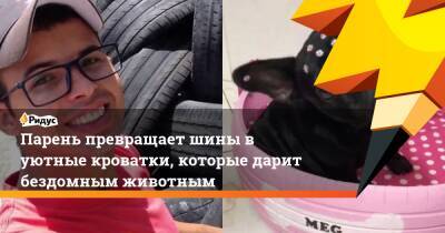 Парень превращает шины в уютные кроватки, которые дарит бездомным животным - ridus.ru