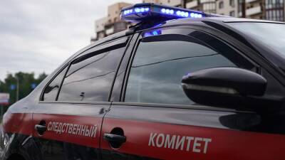 В Ленобласти возбудили дело из-за оперировавшей саму себя блокадницы - iz.ru - Россия - Ленинградская обл. - Израиль