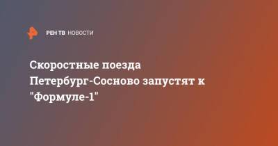 Александр Дрозденко - Скоростные поезда Петербург-Сосново запустят к "Формуле-1" - ren.tv - Россия - Санкт-Петербург