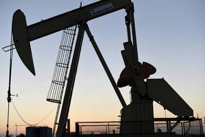 Фумио Кисид - Коити Хагиуда - Япония вслед за США объявила о продаже части нефтяного госрезерва нефти - lenta.ru - США - Япония