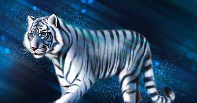 Готовимся к 2022 году: 5 главных правил Водяного Тигра для счастливой жизни - skuke.net